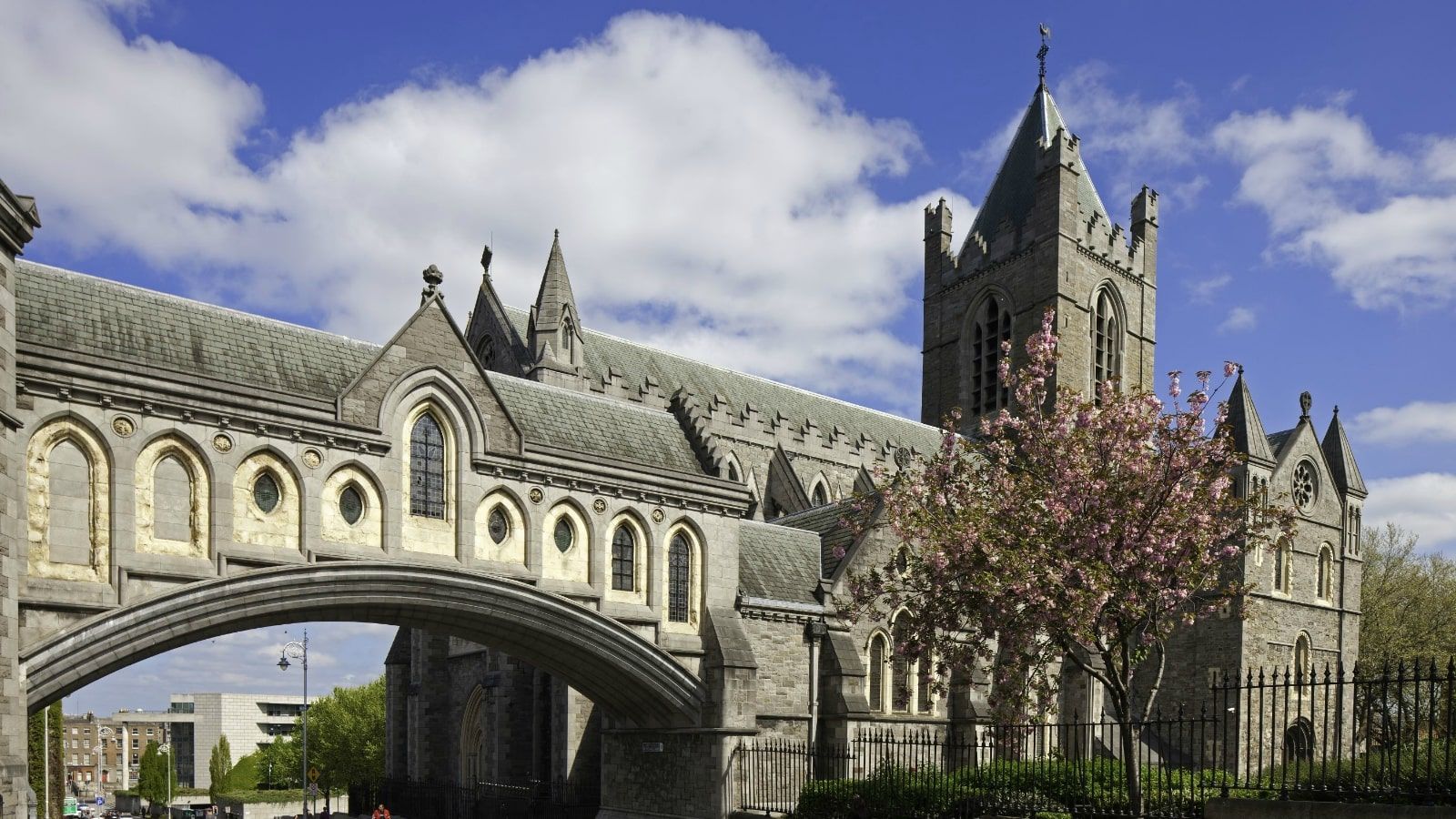 Christchurch Cathedral 1