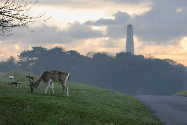 Phoenix Park